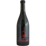 Red Scorpion 2017 - The Wild Boys of Club Batonnage